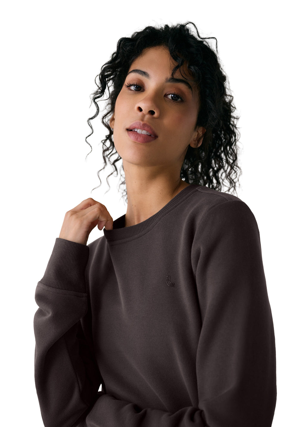 Icon Crew Neck Pullover