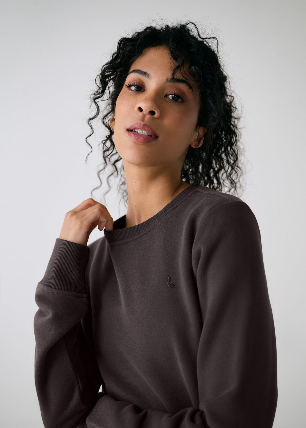 Icon Crew Neck Pullover